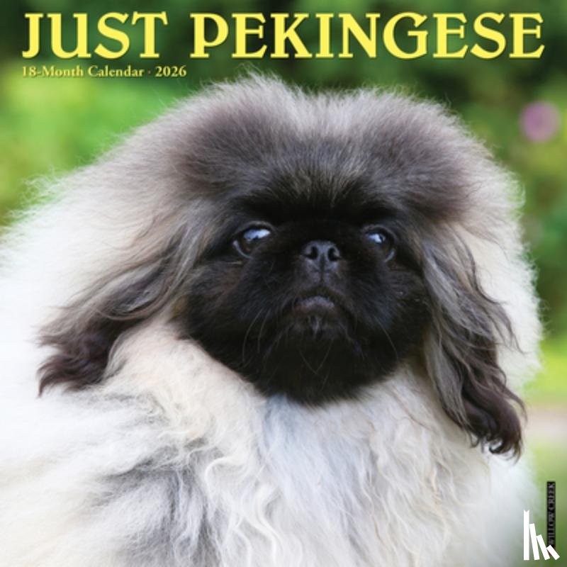 Willow Creek Press - Pekingese 2026 12 X 12 Wall Calendar