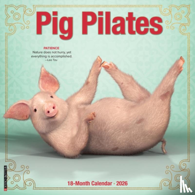 Willow Creek Press - Pig Pilates 2026 Wall Calendar