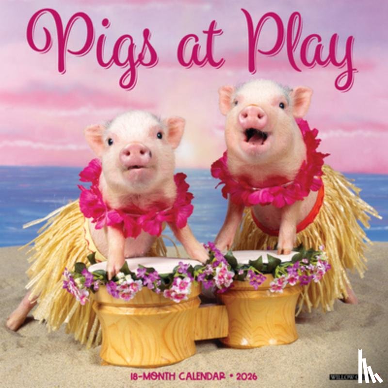Willow Creek Press - Pigs at Play 2026 Wall Calendar