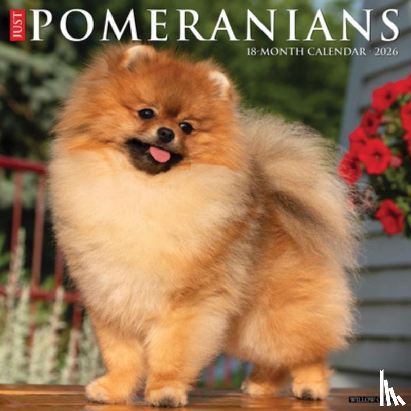 Willow Creek Press - Pomeranians 2026 Wall Calendar