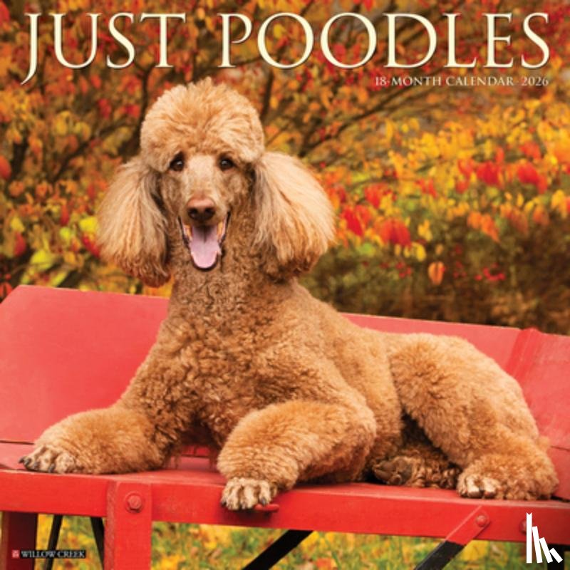 Willow Creek Press - Poodles 2026 Wall Calendar