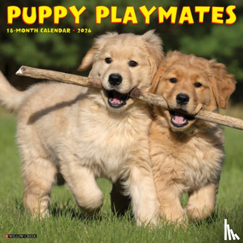Willow Creek Press - Puppy Playmates 2026 Wall Calendar