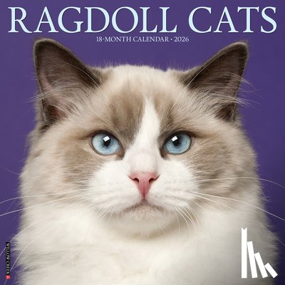 Willow Creek Press - Ragdoll Cats 2026 12 X 12 Wall Calendar