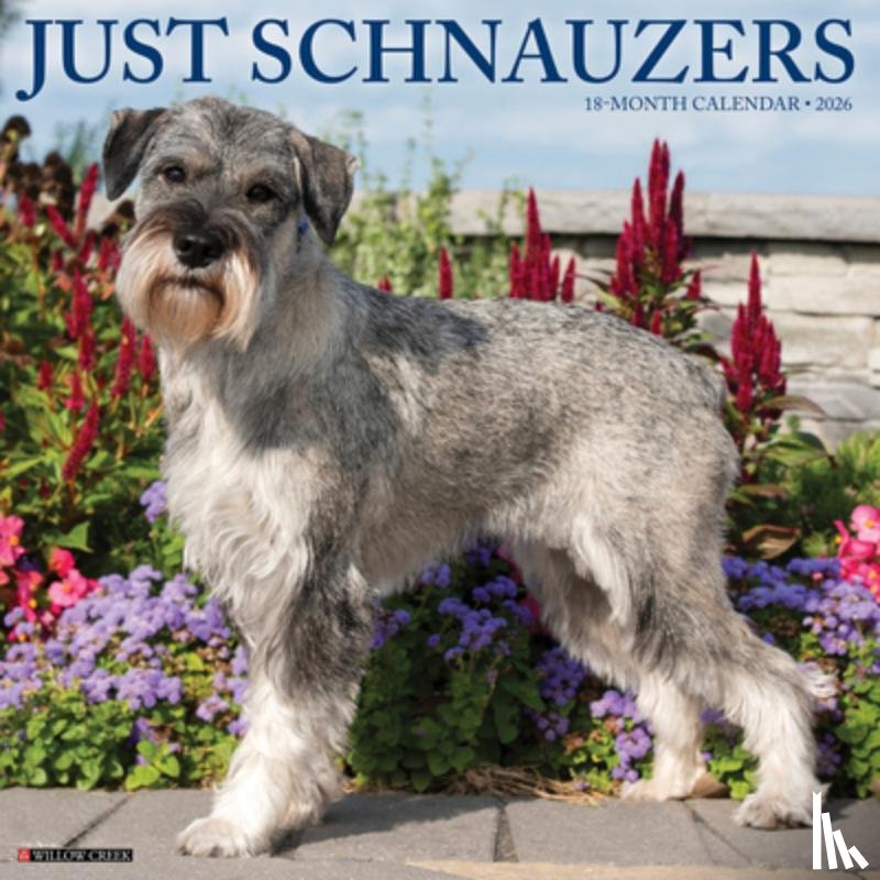 Willow Creek Press - Schnauzers 2026 12 X 12 Wall Calendar