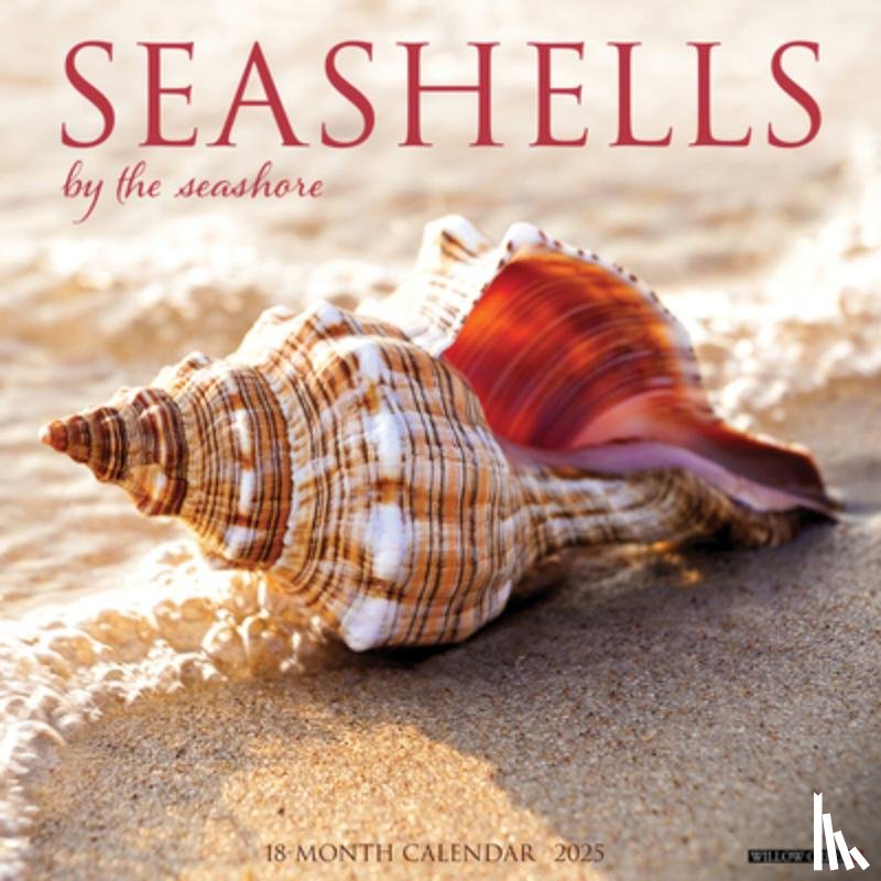 Willow Creek Press - Seashells 2026 12 X 12 Wall Calendar