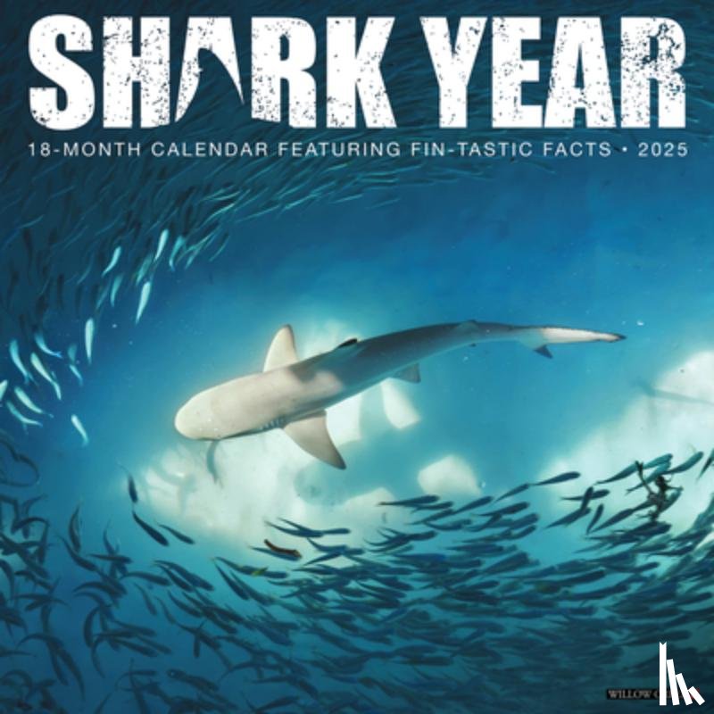 Willow Creek Press - Shark Year 2026 12 X 12 Wall Calendar