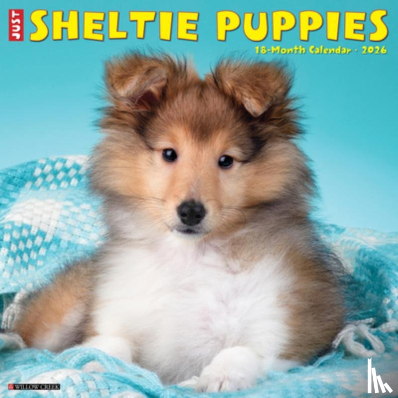 Willow Creek Press - Sheltie Puppies 2026 12 X 12 Wall Calendar