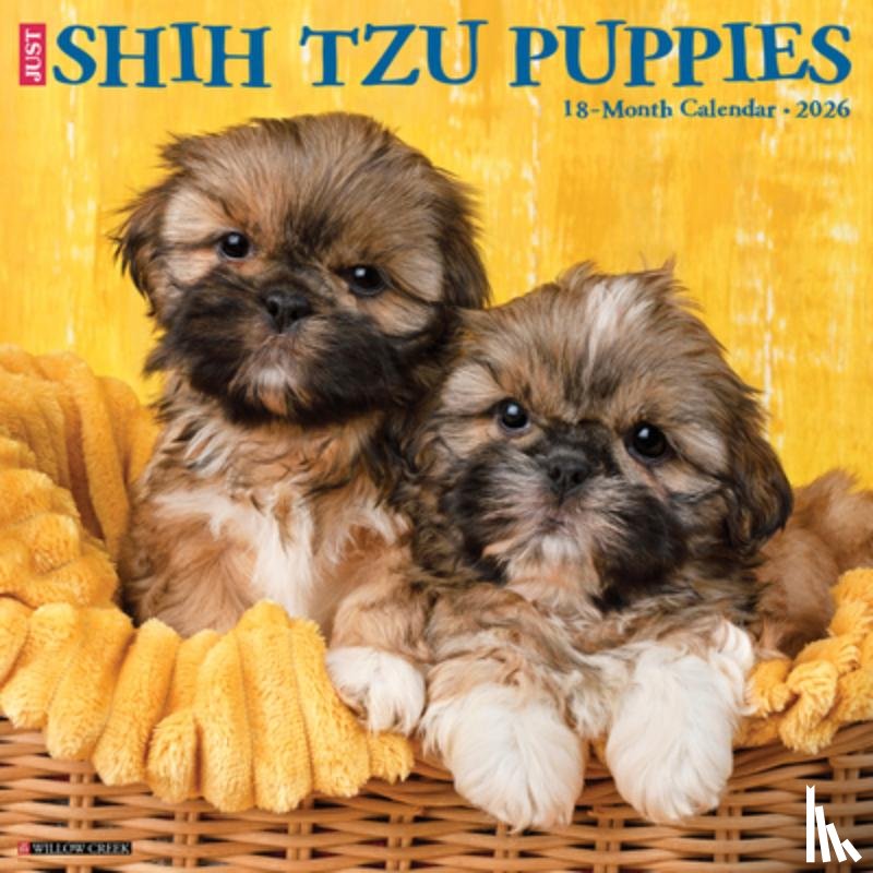 Willow Creek Press - Shih Tzu Puppies 2026 12 X 12 Wall Calendar