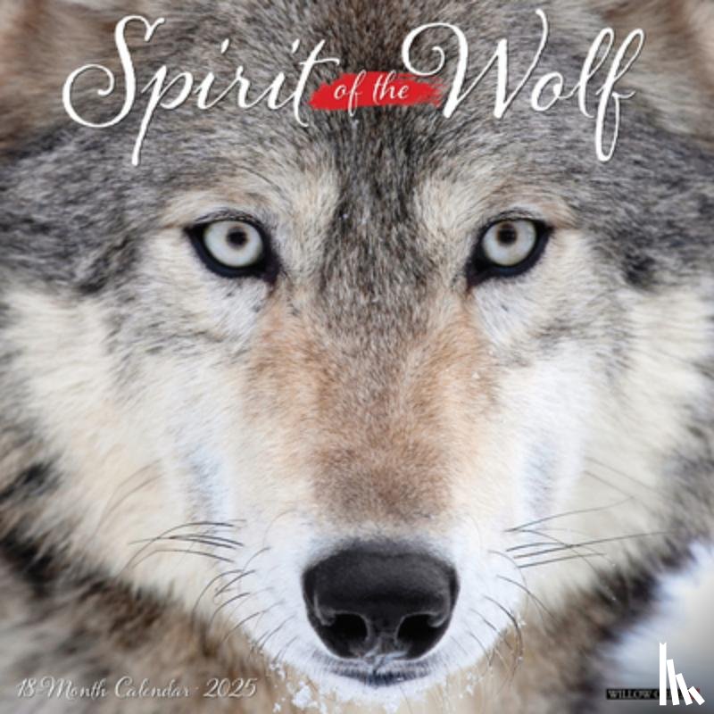 Willow Creek Press - Spirit of the Wolf 2026 12 X 12 Wall Calendar