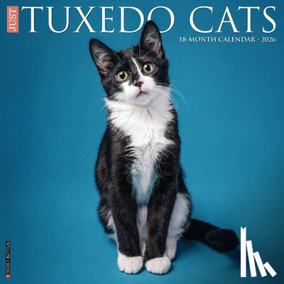 Willow Creek Press - Tuxedo Cats 2026 12 X 12 Wall Calendar
