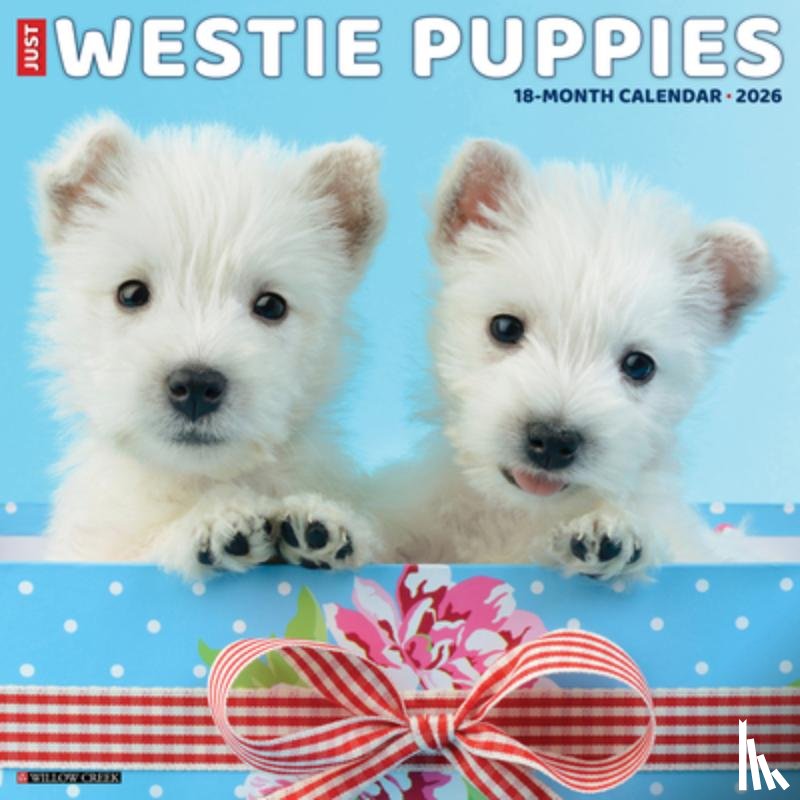 Willow Creek Press - Westie Puppies 2026 12 X 12 Wall Calendar
