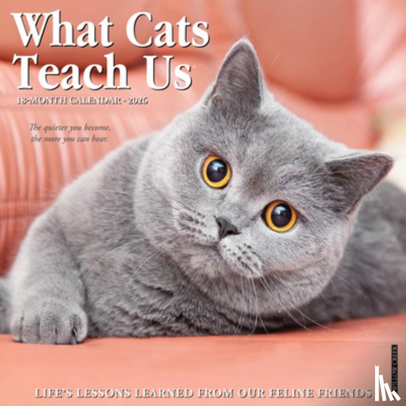 Willow Creek Press - What Cats Teach Us 2026 12 X 12 Wall Calendar