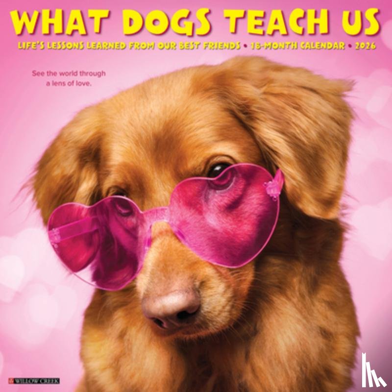Willow Creek Press - What Dogs Teach Us 2026 12 X 12 Wall Calendar