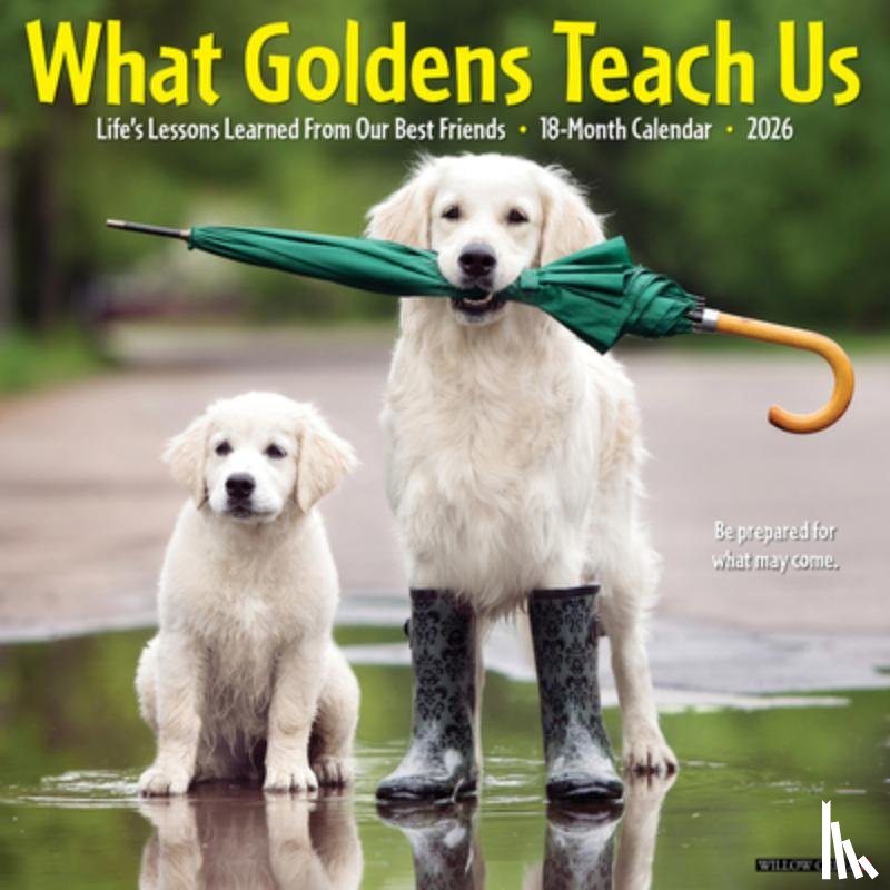 Willow Creek Press - What Goldens Teach Us 2026 12 X 12 Wall Calendar