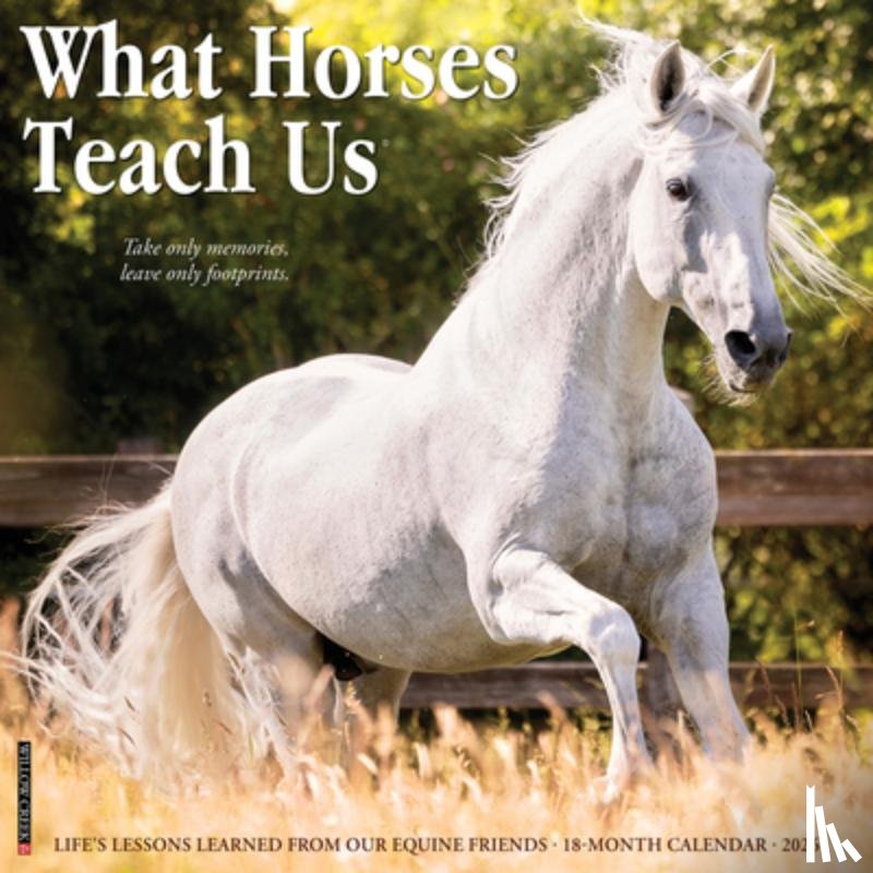 Willow Creek Press - What Horses Teach Us 2026 12 X 12 Wall Calendar