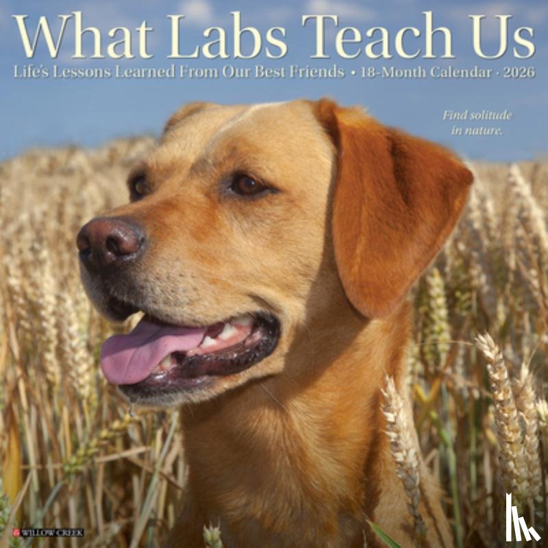 Willow Creek Press - What Labs Teach Us 2026 12 X 12 Wall Calendar