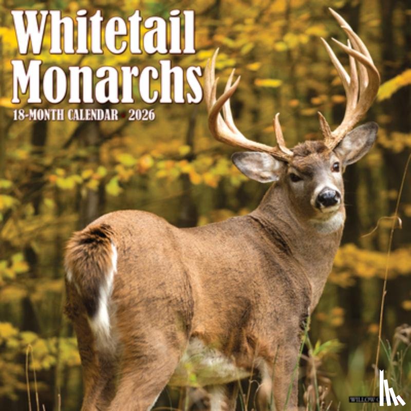 Willow Creek Press - Whitetail Monarchs (Deer) 2026 12 X 12 Wall Calendar