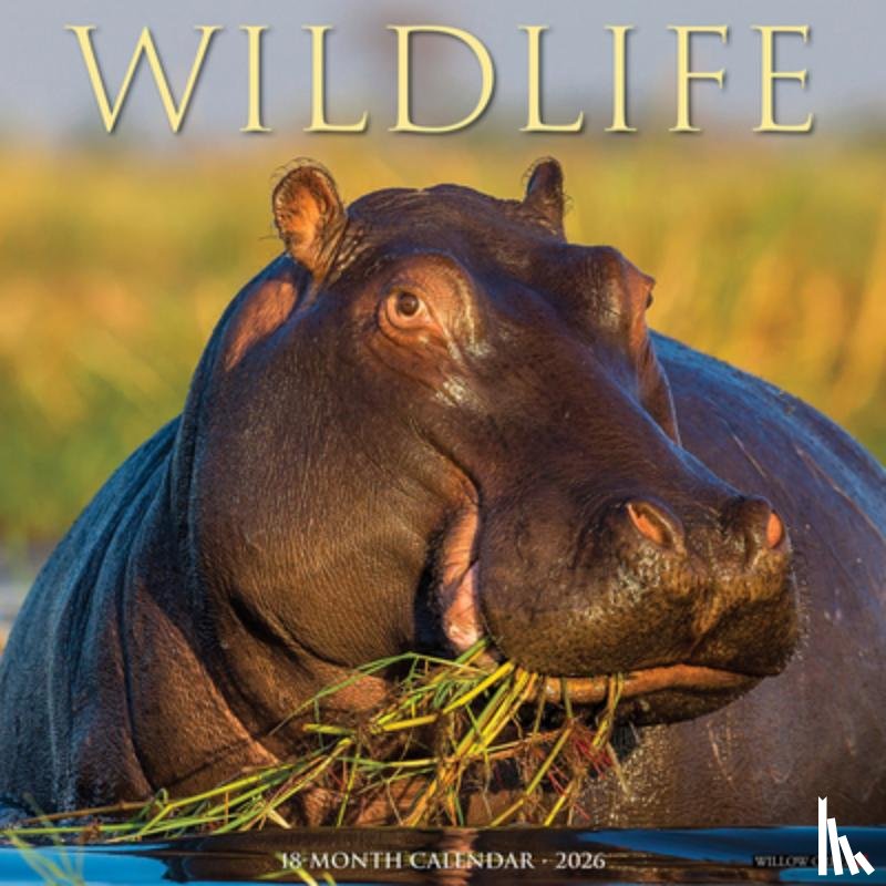 Willow Creek Press - Wildlife 2026 Wall Calendar