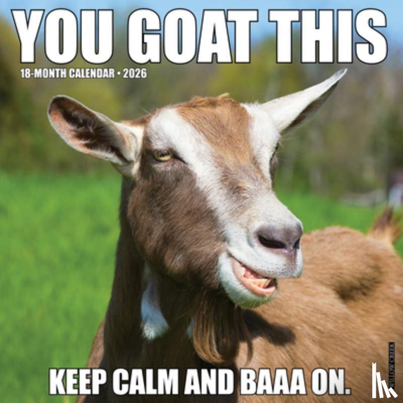 Willow Creek Press - You Goat This 2026 12 X 12 Wall Calendar