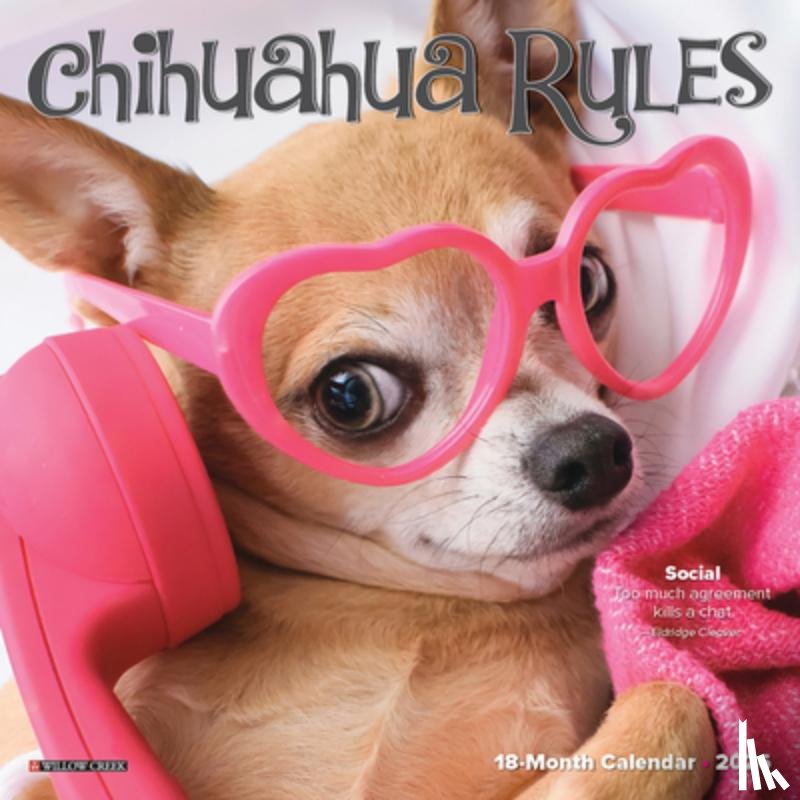 Willow Creek Press - Chihuahua Rules 2026 Mini Wall Calendar