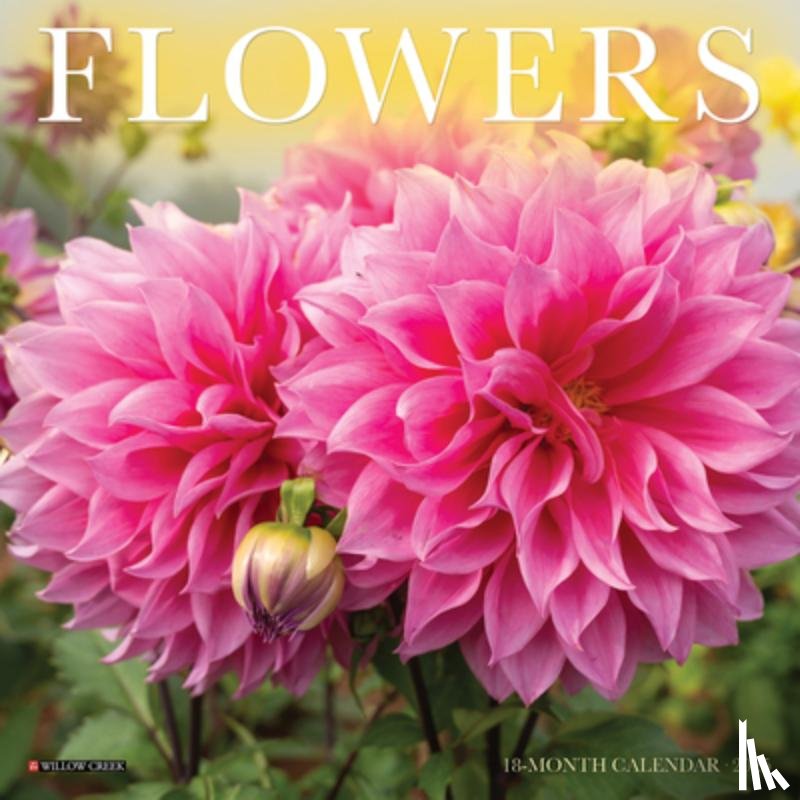 Willow Creek Press - Flowers 2026 Mini Wall Calendar