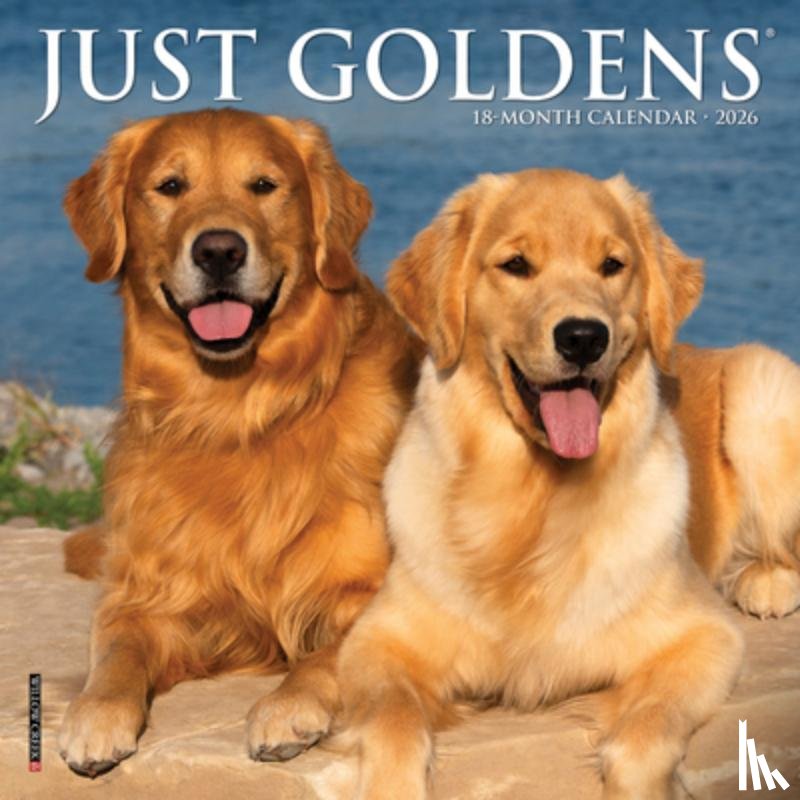Willow Creek Press - Just Goldens 2026 Mini Wall Calendar