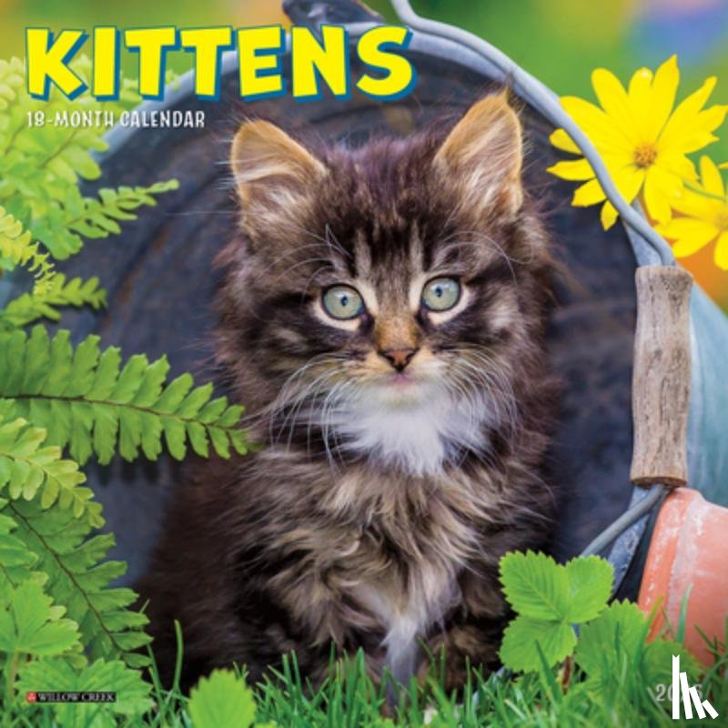 Willow Creek Press - Kittens 2026 Mini Wall Calendar