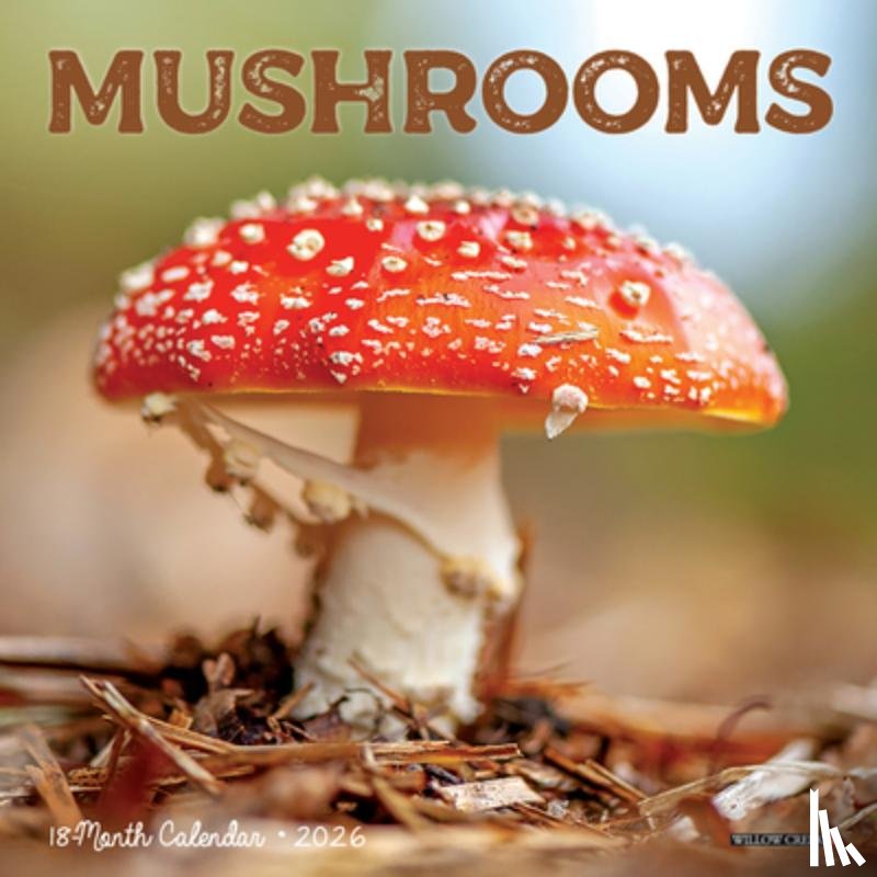 Willow Creek Press - Mushrooms 2026 Mini Wall Calendar