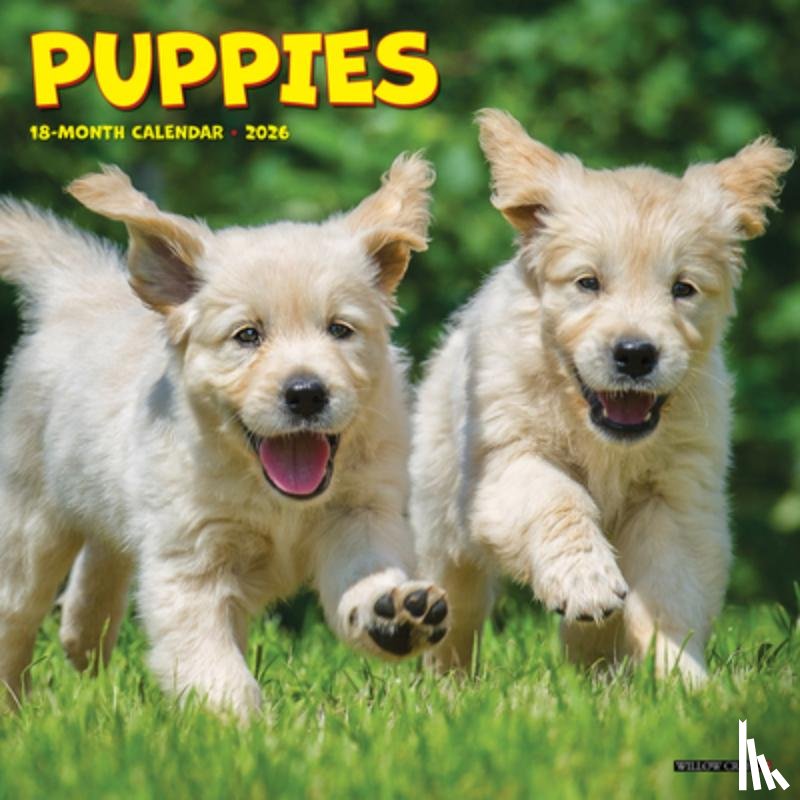 Willow Creek Press - Puppies Mini Wall Calendar