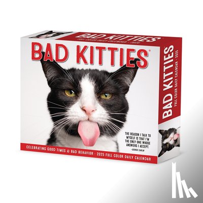 Willow Creek Press - Bad Kitties 2026 5.4 X 6.2 Box Calendar