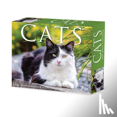 Willow Creek Press - Cats 2026 5.4 X 6.2 Box Calendar