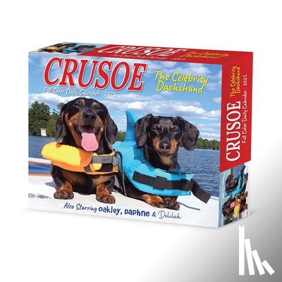 Ryan Beauchesne - Crusoe the Celebrity Dachshund 2026 5.4 X 6.2 Box Calendar