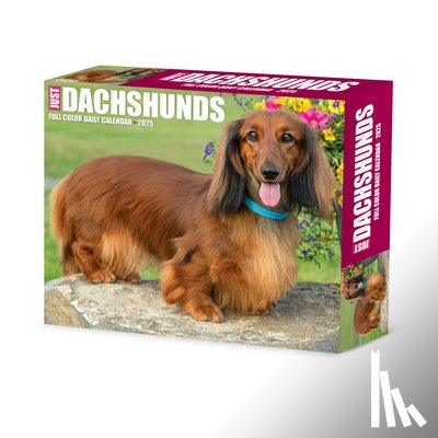Willow Creek Press - Dachshunds 2026 5.4 X 6.2 Box Calendar