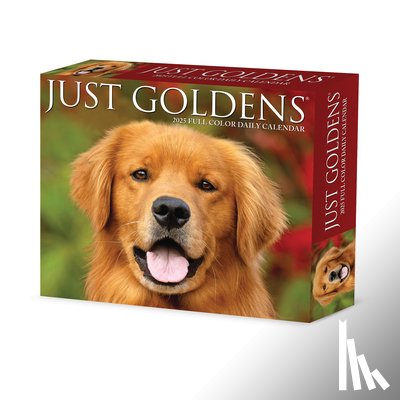 Willow Creek Press - Goldens 2026 5.4 X 6.2 Box Calendar