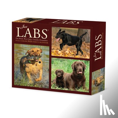 Willow Creek Press - Just Labs 2026 Box Calendar