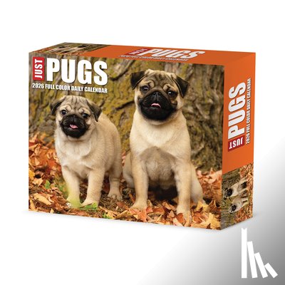 Willow Creek Press - Just Pugs 2026 Box Calendar