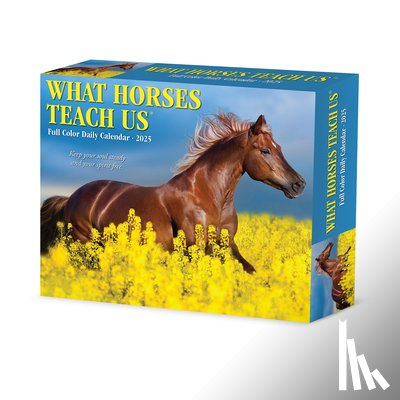 Willow Creek Press - What Horses Teach Us 2026 5.4 X 6.2 Box Calendar