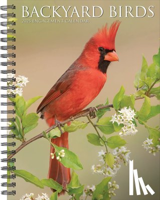 Willow Creek Press - Backyard Birds 2026 Engagement Calendar