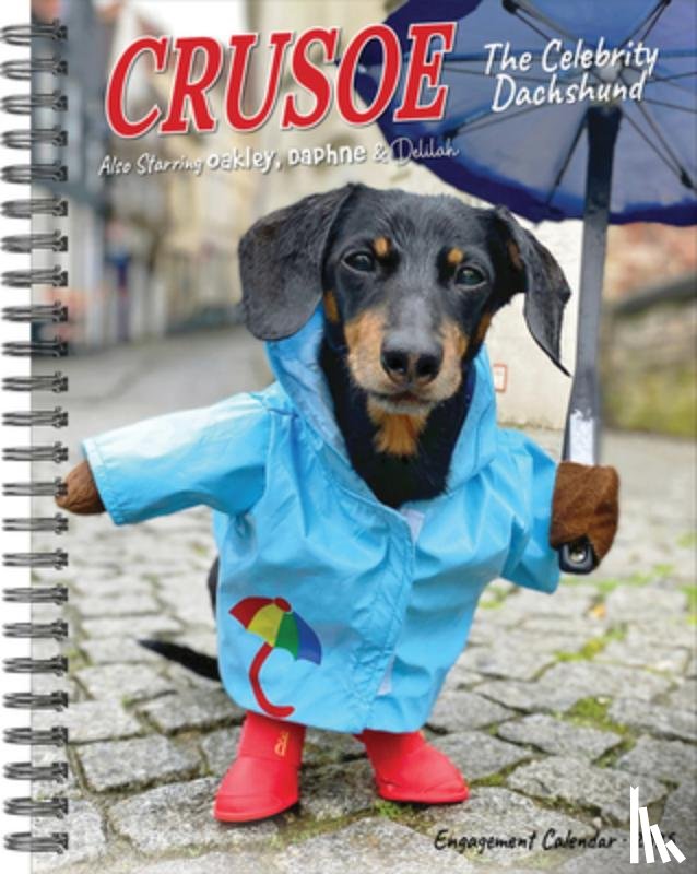 Beauchesne, Ryan - Crusoe the Celebrity Dachshund 2026 6.5 X 8.5 Engagement Calendar