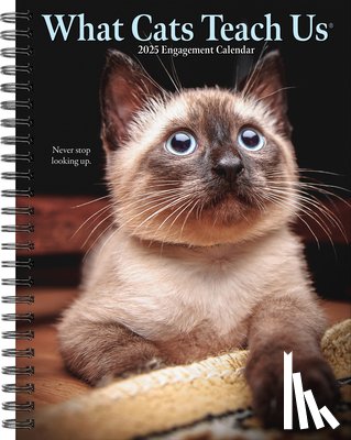 Willow Creek Press - What Cats Teach Us 2026 6.5 X 8.5 Engagement Calendar
