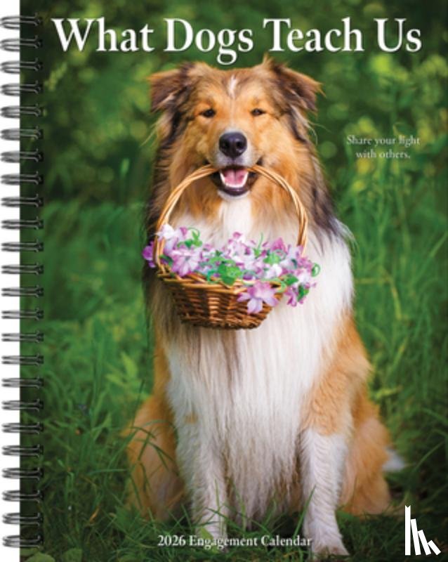 Willow Creek Press - What Dogs Teach Us 2026 6.5 X 8.5 Engagement Calendar