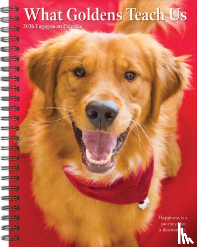 Willow Creek Press - What Goldens Teach Us 2026 6.5 X 8.5 Engagement Calendar
