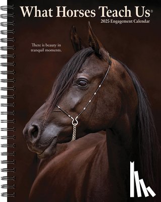 Willow Creek Press - What Horses Teach Us 2026 6.5 X 8.5 Engagement Calendar