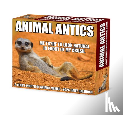 Willow Creek Press - Animal Antics 2026 5.4 X 6.2 Box Calendar