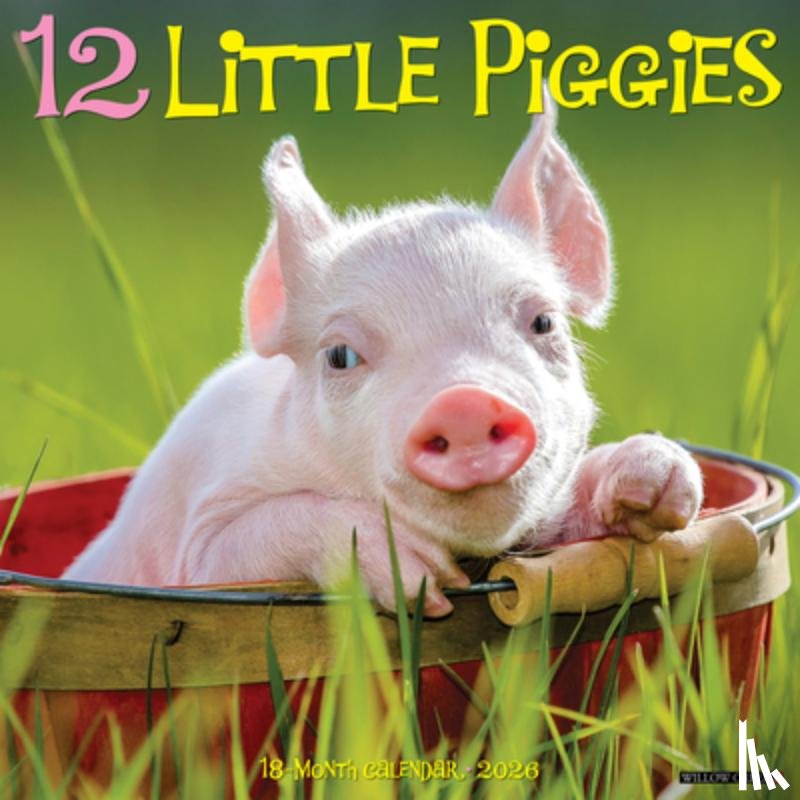 Willow Creek Press - 12 Little Piggies 2026 12 X 12 Wall Calendar