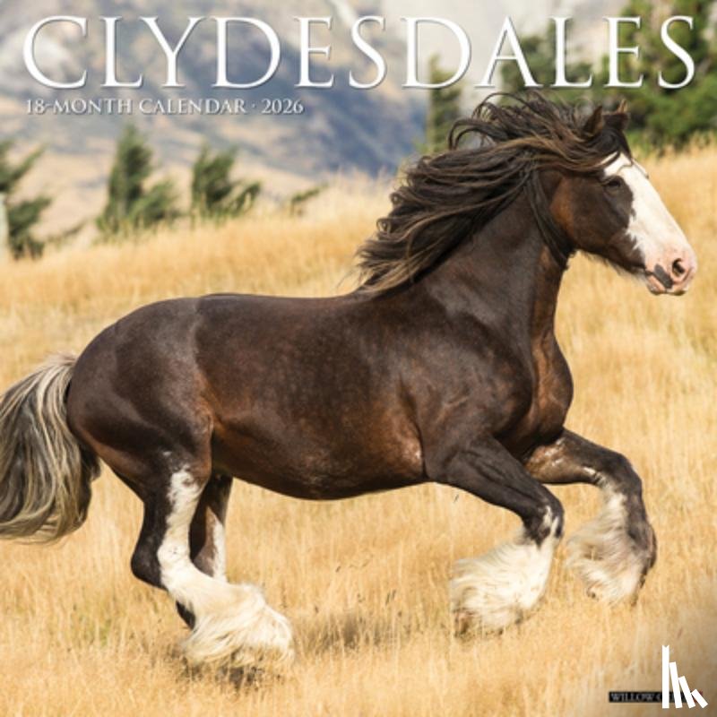 Willow Creek Press - Clydesdales 2026 Wall Calendar