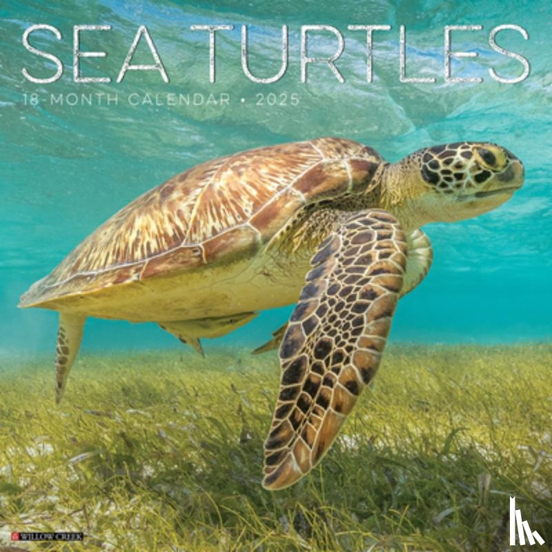 Willow Creek Press - Sea Turtles 2026 12 X 12 Wall Calendar