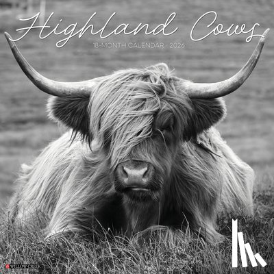Willow Creek Press - Highland Cows B&w 12 X 12 Wall Calendar