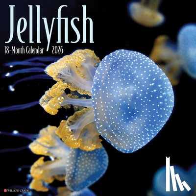 Willow Creek Press - Jellyfish 2026 Wall Calendar