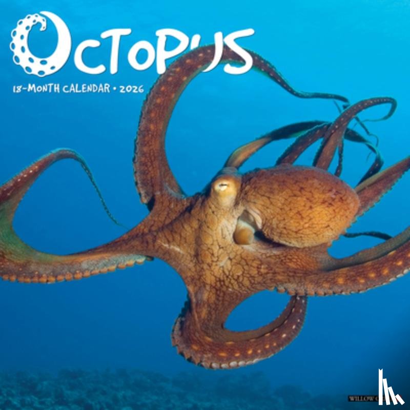 Willow Creek Press - Octopus 2026 Wall Calendar